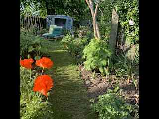 Rear garden