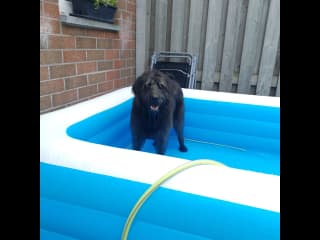 Trevor very pleased with his new paddling pool.