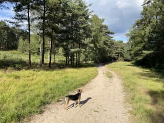 Walking in Tunnel Hill - 5 mins drive, 10 mins cycle from house