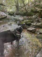 She enjoys a creek hike.