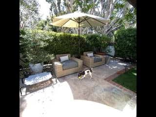 Back patio area. Very private with tall hedge. Jolene will need to be supervised back here. The neighborhood has coyotes and squirrels that she can catch and we don't want that. At night she’ll need to be on a leash back there for potty time.