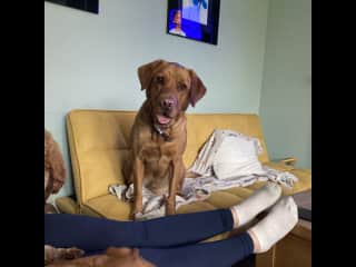 Play with me!