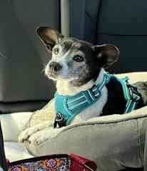 Riding in the car