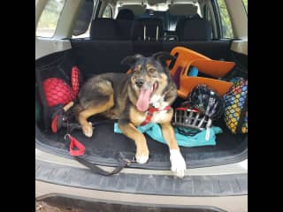 Shadow on a hiking trip in the US