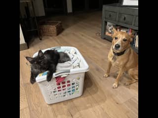 Notley and Marlowe get along great