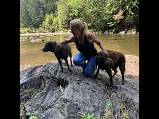 Dog sit in Maine