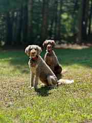 Precious Kai and Kali such bundles of joy!