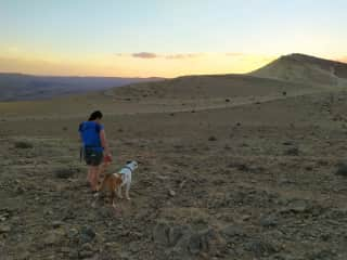 We love taking our dog hiking