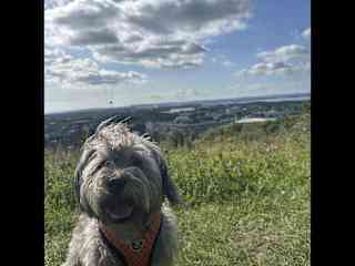 On the downs