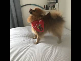 It’s Christmas soon