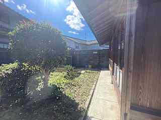 Our enclosed yard