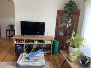 One of Fig’s beds + some home workout equipment (weights, slider discs, bands, yoga mat, small foam roller)