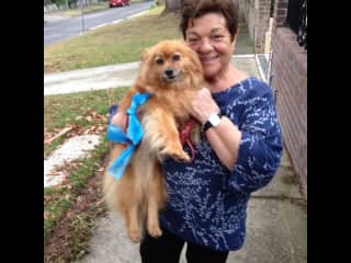 This is me and Sassy in Sydney, Australia.  She was so much fun to be with.  She lives with a lovely family.