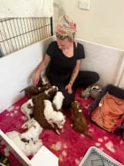 This was me cuddling with all the puppies in the puppy nursery we worked for 5 weeks. We raised them from birth until they got home to their new families.