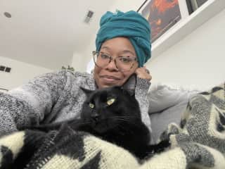The saddest part about pet sitting is missing them [w/ Little Cat in Chicago, IL]