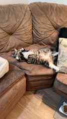 Chilling again