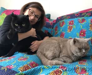 Fat Puss and Grimth, the cutest kitties on earth!