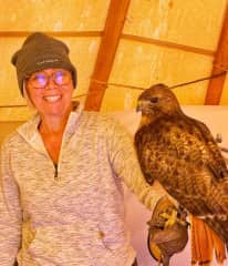 Learning about birds of Prey in Arizona