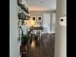 Hall to dining room