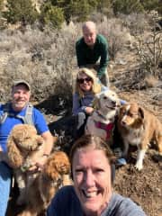 Family hike with all the dogs!