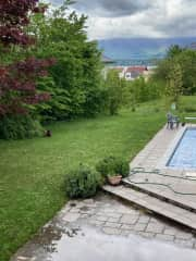 View of garden from the terrace