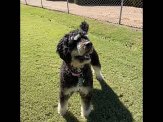 Energetic Maggie