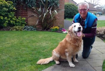 Kaiser, one of my regular dog walk 'clients'