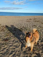 Kevin in his happy place! The beach a 5 minute drive away!