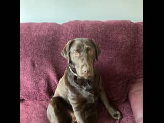 Beautiful twix