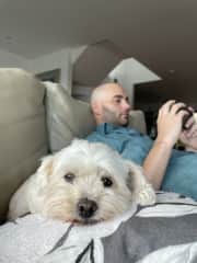 Lucy having a kip next to Nate while we house-sit.