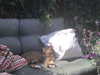 Join me for a cuddle on the sofa in the garden.