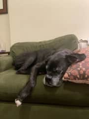 Snooze queen
