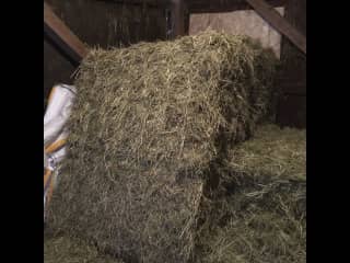 Hay storage