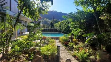 Backyard and Pool