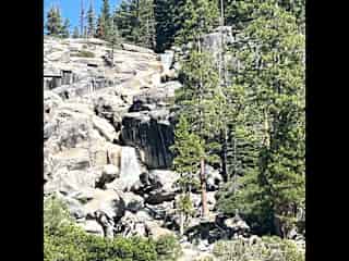 One of many great hiking trails in the area. This a 4 mile round trip hike to Bassi Falls. Jasper loves this as it is off leash and free of sticker bushes with the bonus of water