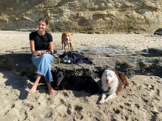 Southern California with three sweet dogs! (mother/daughter sit)