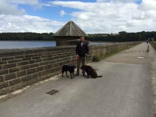 Alan; Yorkshire dogs 2016