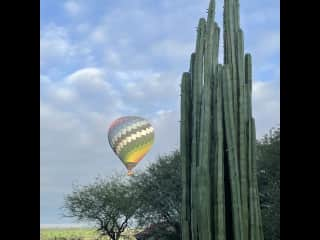 Hot air balloons fly over the house on a regular basis!