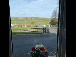 View out front window