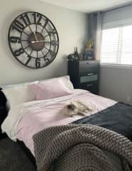 Luna believes this room is hers - the bed has a comfy queen mattress, that has only ever been used in our guest room.