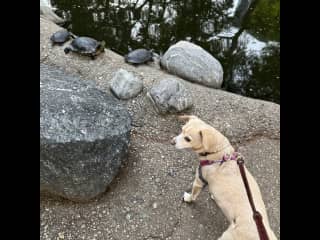 Gracie at CALTECH