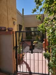 Front entrance courtyard