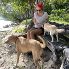 Island life with dogs