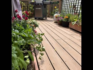 Back deck, full of herbs and flowers during the summer. The propane BBQ is available for your use for grilling adventures.