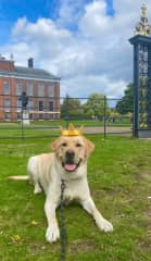 Buster at Kensington Palace.