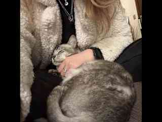 Caro with Bowie sleeping on her lap
