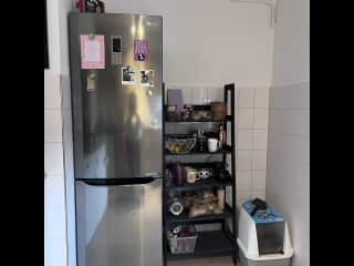 Fridge with freezer, storage and the litterbox.