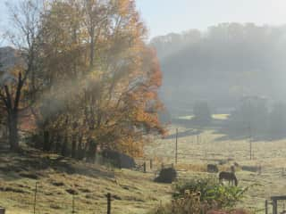 Autumn view from back of house.