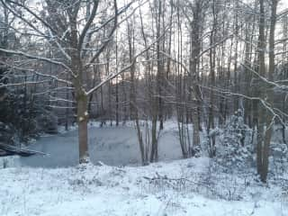 Pond winter