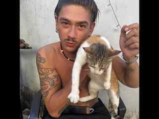 In our actual stay are living many cats we‘re caring about. we also brought some already to PACS (Phangan animal care for strays) where my friend works to check for them